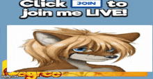 a picture of a furry fox with the words click join to join me live below it