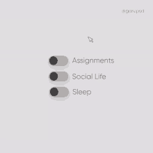 a screenshot of a screen that says assignments social life and sleep