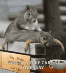 two squirrels are sitting on top of a book and one of them is asking to take care of you baby .