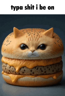 a cat shaped hamburger with the words typa shit i be on above it