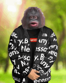 a monkey is wearing a supreme jacket and a black shirt