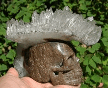 a person is holding a skull with a crystal on top of it .