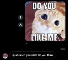 a picture of a cat with a caption that says do you like me