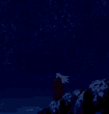 a man in a red robe is standing on top of a rock looking at the stars .