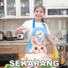 a woman wearing an apron with a cat on it is standing in a kitchen with the words sekarang written on the counter