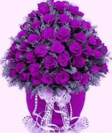 a large bouquet of purple roses in a purple vase .