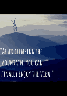 a cartoon character stands on top of a mountain with the words " after climbing the mountain you can finally enjoy the view " below him