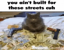 a cat is sitting on a pile of money and guns on a bed .