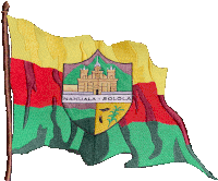 a flag with a coat of arms that says nahuala solola