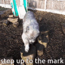 a dog standing on a pile of logs with the words " step up to the mark " above it