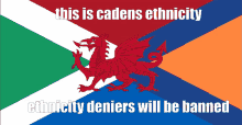 a poster with a dragon and the words this is cadens ethnicity