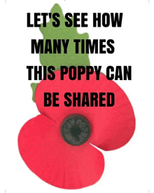 a red poppy with the words let 's see how many times this poppy can be shared on it