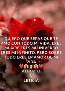 a red rose with the words quiero que sepas que te amo on it