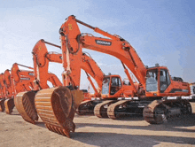 a row of orange doosan excavators are parked in the dirt