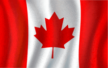 a red white and blue canadian flag with a maple leaf on it