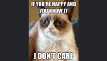 a grumpy cat says if you 're happy and you know it i dont care