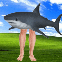 a shark with a man 's legs is standing in a grassy field