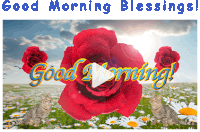 a good morning blessings greeting card with cats and roses