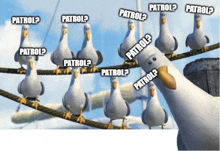 a group of seagulls are standing on a rope with the word patrol written around them