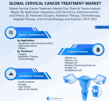 an advertisement for a global cervical cancer treatment market with a picture of a uterus