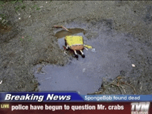 a picture of a spongebob laying in a puddle of water with breaking news written on the bottom