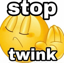 a yellow smiley face with its eyes closed and the words `` stop twink '' on it .