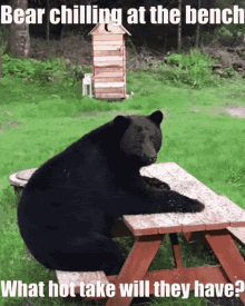 a bear is sitting at a picnic table with the caption bear chilling at the bench what hot take will they have