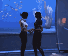 two women standing in front of a fish tank with illussoul.com written on the bottom