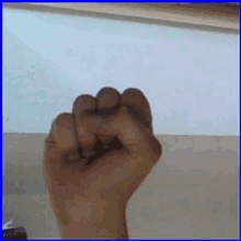 a person 's fist is raised in the air