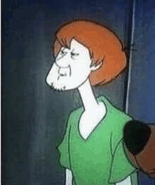 a cartoon character with red hair and a beard is wearing a green shirt and standing next to a wall .