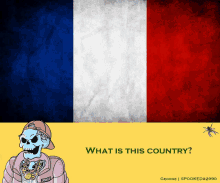 a cartoon of a skeleton in front of a french flag with the words what is this country below it