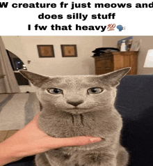 Cat Meme Meme