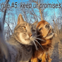 a picture of a cat and a dog with rule # 5 keep ur promises written above them