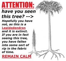 a poster that says attention have you seen this tree hopefully you have not as this is a lepidodendron and it is extinct .