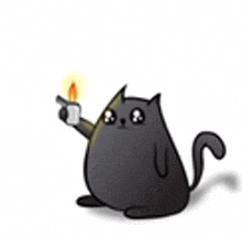 a black cat is holding a lighter with a flame coming out of it .