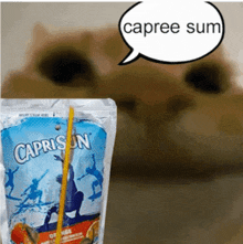 a cat is looking at a bag of caprisun orange juice