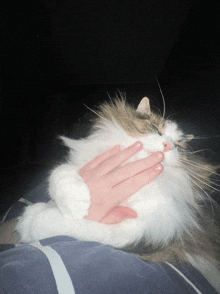 a person 's hand is covering a cat 's face in a dark room