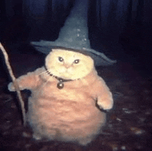 a cat wearing a witch hat and holding a wand .