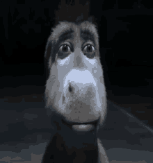 a close up of a donkey 's face with a dark background