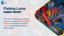 a fishing lures market report with a picture of lures