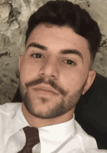 a man with a beard is wearing a white shirt and burgundy tie