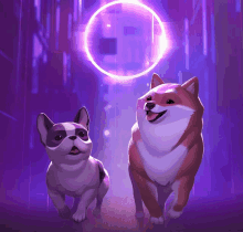 two dogs are walking in front of a purple background