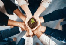 a group of people are putting their hands together and holding a small plant