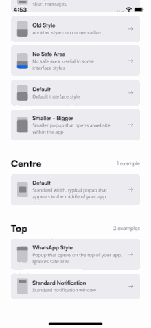 a screenshot of a phone screen showing different styles