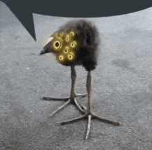 a bird with a speech bubble in the background is standing on the ground with a speech bubble in the background .