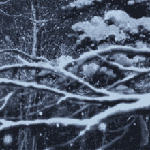 a black and white photo of snow falling on a tree