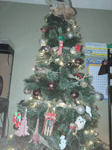 a christmas tree in front of a calendar that has the month of february on it