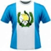 a t-shirt with the flag of guatemala on it .