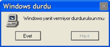 a computer screen says windows durdu and has a button that says hayir