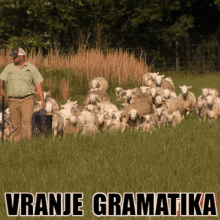 a man standing in a field with a herd of sheep behind him and the words vranje gramatika below him